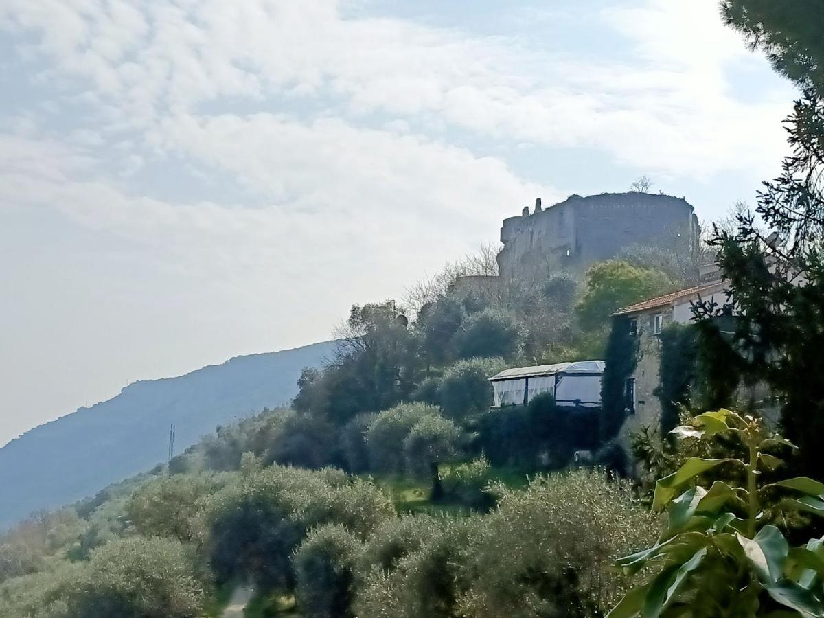 فندق Ca Degli Ulivi فينالي ليغوري المظهر الخارجي الصورة
