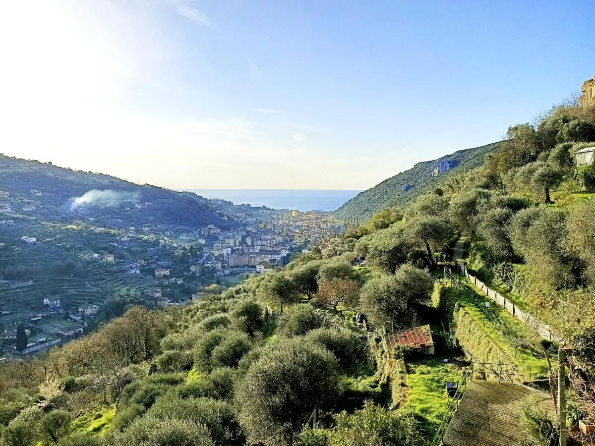 فندق Ca Degli Ulivi فينالي ليغوري المظهر الخارجي الصورة
