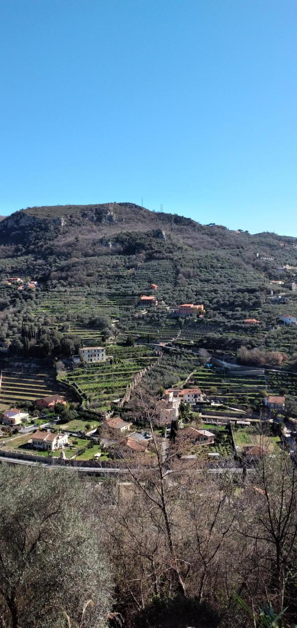 فندق Ca Degli Ulivi فينالي ليغوري الغرفة الصورة