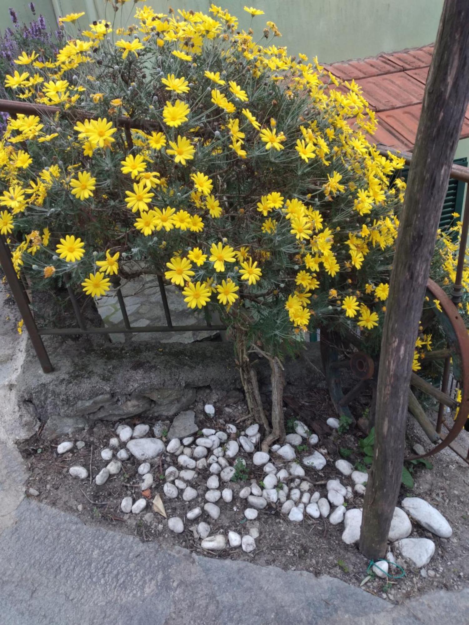 فندق Ca Degli Ulivi فينالي ليغوري المظهر الخارجي الصورة
